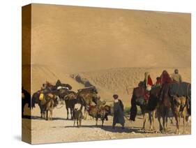 Kuchie Nomad Camel Train, Between Chakhcharan and Jam, Afghanistan, Asia-Jane Sweeney-Stretched Canvas