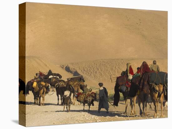 Kuchie Nomad Camel Train, Between Chakhcharan and Jam, Afghanistan, Asia-Jane Sweeney-Stretched Canvas