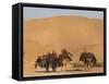 Kuchie Nomad Camel Train, Between Chakhcharan and Jam, Afghanistan, Asia-Jane Sweeney-Framed Stretched Canvas