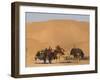 Kuchie Nomad Camel Train, Between Chakhcharan and Jam, Afghanistan, Asia-Jane Sweeney-Framed Photographic Print