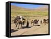 Kuchie Nomad Camel Train, Between Chakhcharan and Jam, Afghanistan-Jane Sweeney-Framed Stretched Canvas