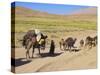 Kuchie Nomad Camel Train, Between Chakhcharan and Jam, Afghanistan-Jane Sweeney-Stretched Canvas