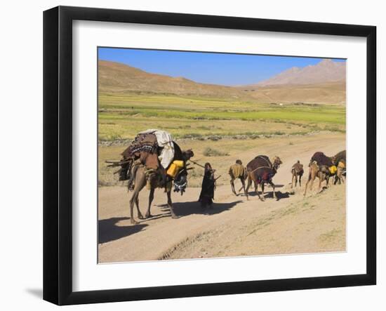 Kuchie Nomad Camel Train, Between Chakhcharan and Jam, Afghanistan-Jane Sweeney-Framed Photographic Print