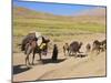 Kuchie Nomad Camel Train, Between Chakhcharan and Jam, Afghanistan-Jane Sweeney-Mounted Photographic Print