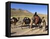 Kuchie Nomad Camel Train, Between Chakhcharan and Jam, Afghanistan-Jane Sweeney-Framed Stretched Canvas