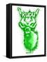 Kudo  Spray Paint Green-Anthony Salinas-Framed Stretched Canvas