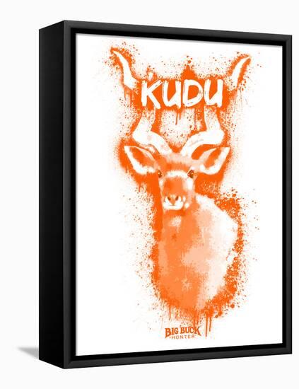 Kudo  Spray Paint Orange-Anthony Salinas-Framed Stretched Canvas