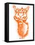 Kudo  Spray Paint Orange-Anthony Salinas-Framed Stretched Canvas