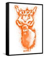 Kudo  Spray Paint Orange-Anthony Salinas-Framed Stretched Canvas