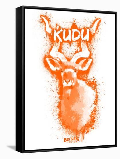 Kudo  Spray Paint Orange-Anthony Salinas-Framed Stretched Canvas