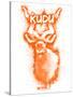 Kudo  Spray Paint Orange-Anthony Salinas-Stretched Canvas