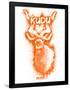 Kudo  Spray Paint Orange-Anthony Salinas-Framed Poster