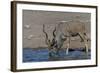 Kudu Bull-Tobie Oosthuizen-Framed Photographic Print