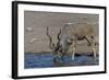 Kudu Bull-Tobie Oosthuizen-Framed Photographic Print