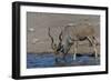 Kudu Bull-Tobie Oosthuizen-Framed Photographic Print