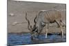 Kudu Bull-Tobie Oosthuizen-Mounted Photographic Print