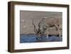 Kudu Bull-Tobie Oosthuizen-Framed Photographic Print