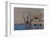 Kudu Bull-Tobie Oosthuizen-Framed Photographic Print