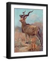 Kudu, Cuthbert Swan-Cuthbert Swan-Framed Art Print