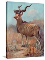 Kudu, Cuthbert Swan-Cuthbert Swan-Stretched Canvas