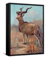 Kudu, Cuthbert Swan-Cuthbert Swan-Framed Stretched Canvas