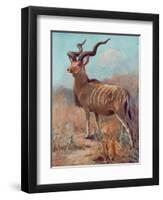 Kudu, Cuthbert Swan-Cuthbert Swan-Framed Art Print