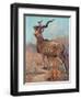 Kudu, Cuthbert Swan-Cuthbert Swan-Framed Art Print