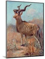 Kudu, Cuthbert Swan-Cuthbert Swan-Mounted Art Print