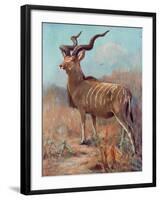 Kudu, Cuthbert Swan-Cuthbert Swan-Framed Art Print