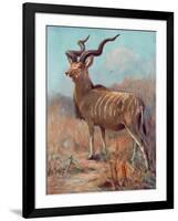 Kudu, Cuthbert Swan-Cuthbert Swan-Framed Art Print