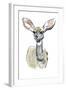 Kudu Fawn, Sarara, 2018,-Mark Adlington-Framed Giclee Print