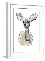 Kudu Fawn, Sarara, 2018,-Mark Adlington-Framed Giclee Print