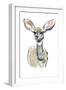 Kudu Fawn, Sarara, 2018,-Mark Adlington-Framed Giclee Print