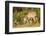 Kudu Stealing Fruit from a Baboon-Michele Westmorland-Framed Photographic Print