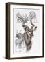 Kudu-Barbara Keith-Framed Giclee Print