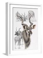 Kudu-Barbara Keith-Framed Giclee Print