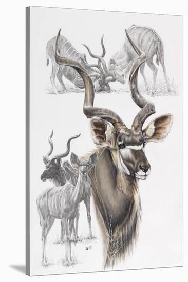 Kudu-Barbara Keith-Stretched Canvas