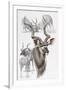 Kudu-Barbara Keith-Framed Giclee Print