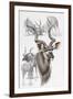 Kudu-Barbara Keith-Framed Giclee Print