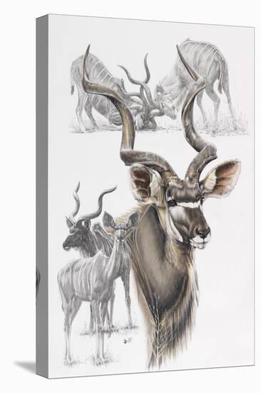 Kudu-Barbara Keith-Stretched Canvas