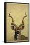 Kudu-James W Johnson-Framed Stretched Canvas