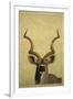 Kudu-James W Johnson-Framed Giclee Print