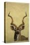 Kudu-James W Johnson-Stretched Canvas