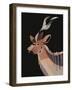 Kudu-Rebekah Ewer-Framed Art Print