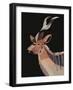 Kudu-Rebekah Ewer-Framed Art Print