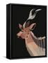 Kudu-Rebekah Ewer-Framed Stretched Canvas