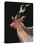 Kudu-Rebekah Ewer-Stretched Canvas