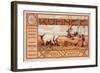 Kühnee plows etc. Budapest-Árpád Basch-Framed Art Print