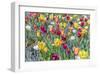 Kuekenhof Tulips I-Richard Silver-Framed Art Print