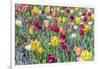 Kuekenhof Tulips I-Richard Silver-Framed Art Print
